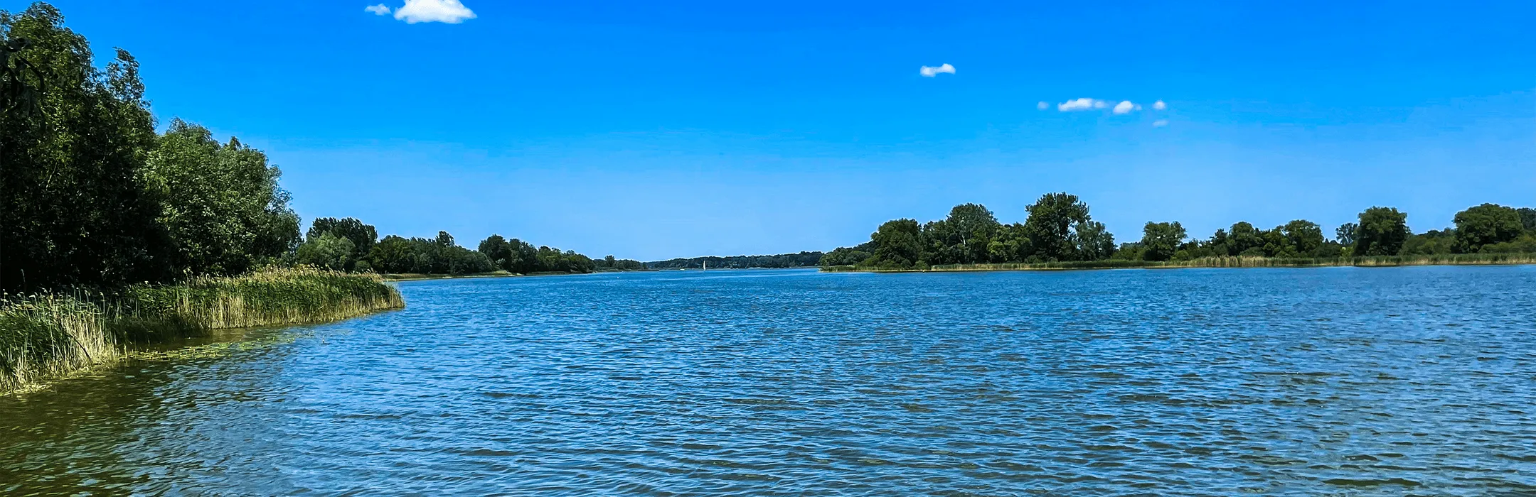 Szlak Piastowski – Od Katedry do Solnych Wzgórz