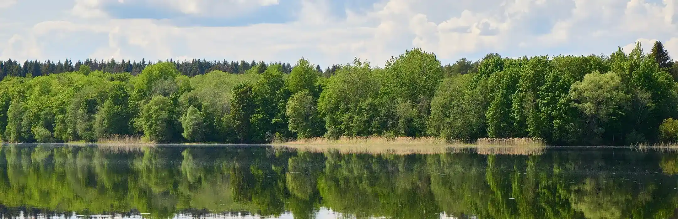 Transwielkopolska Trasa Rowerowa (Okonek – Siemianice)