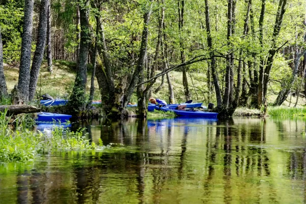 Kajakowy Przełom Wełny – Od Młyna do Warty
