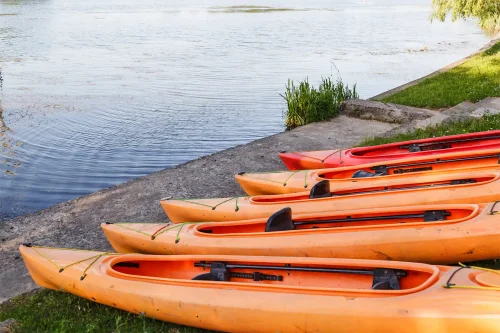 Hybryda Doliny Noteci