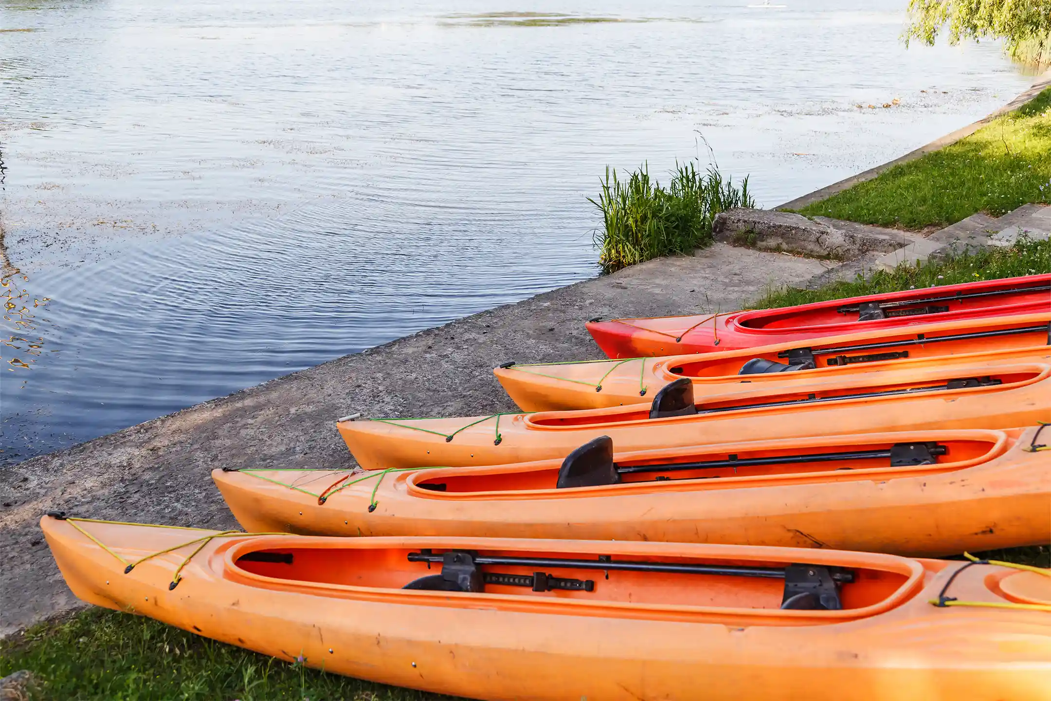 Kajakowa Przygoda Wartą
