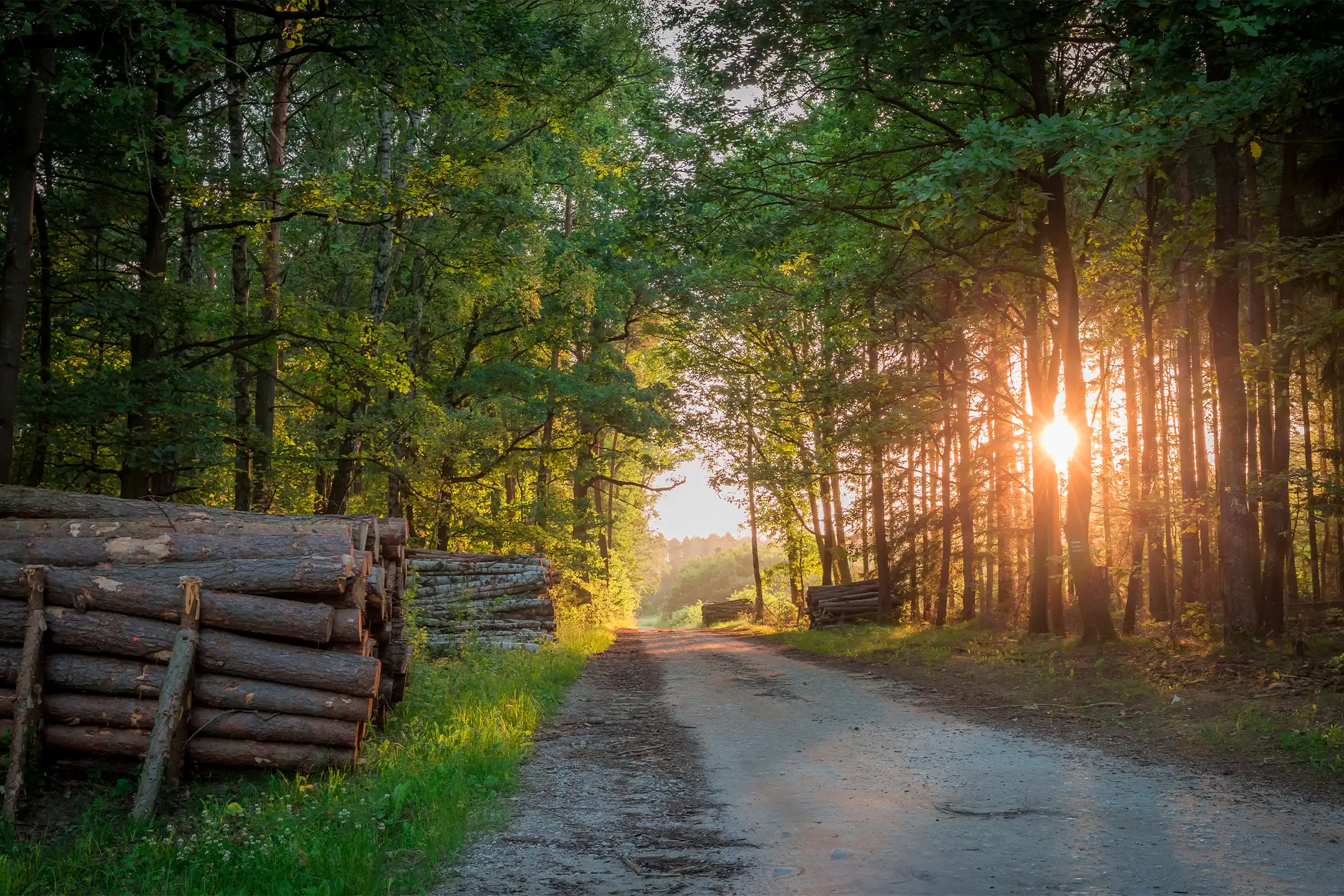 Bursztynowy Szlak Rowerowy