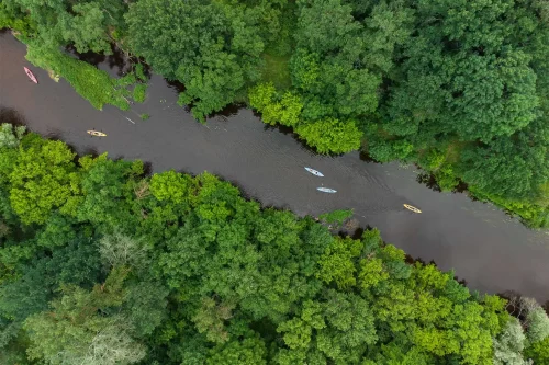 Hybryda Doliny Noteci