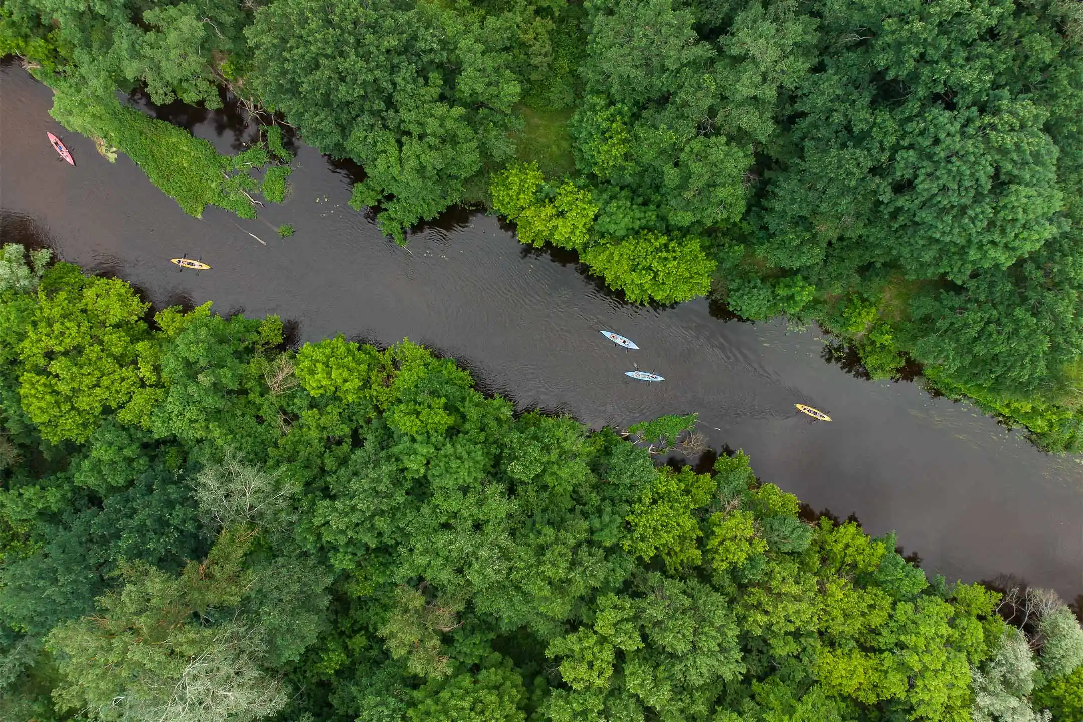 Hybryda Doliny Noteci