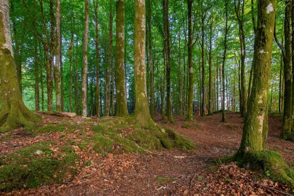 Hybryda Międzychodzkiego Parku Krajobrazowego: MTB + Kajak