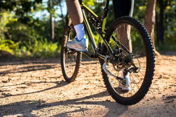 Leśna Pętla Notecka – Miłoty – Krucz – Wronki