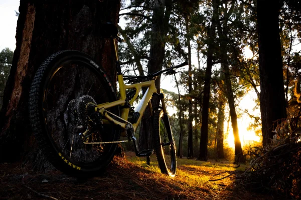 Rowerowa Pętla Powidzka