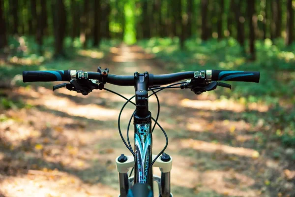 Rowerowa Pętla Sierakowska – Jeziora i Lasy Pojezierza