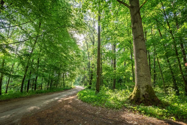 Rowerowa Pętla Powidzka