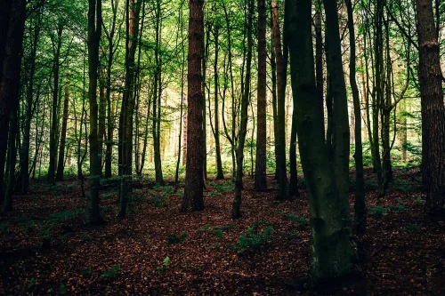 Hybryda Jezior Bledzewskich: MTB + Kajak