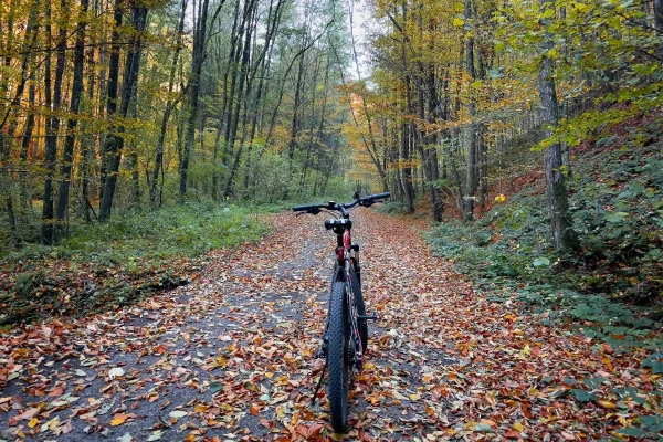 Hybryda Przemęckiego Parku Krajobrazowego