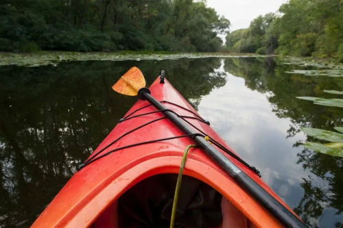 Hybryda Puszczy Zielonki: MTB + Kajak
