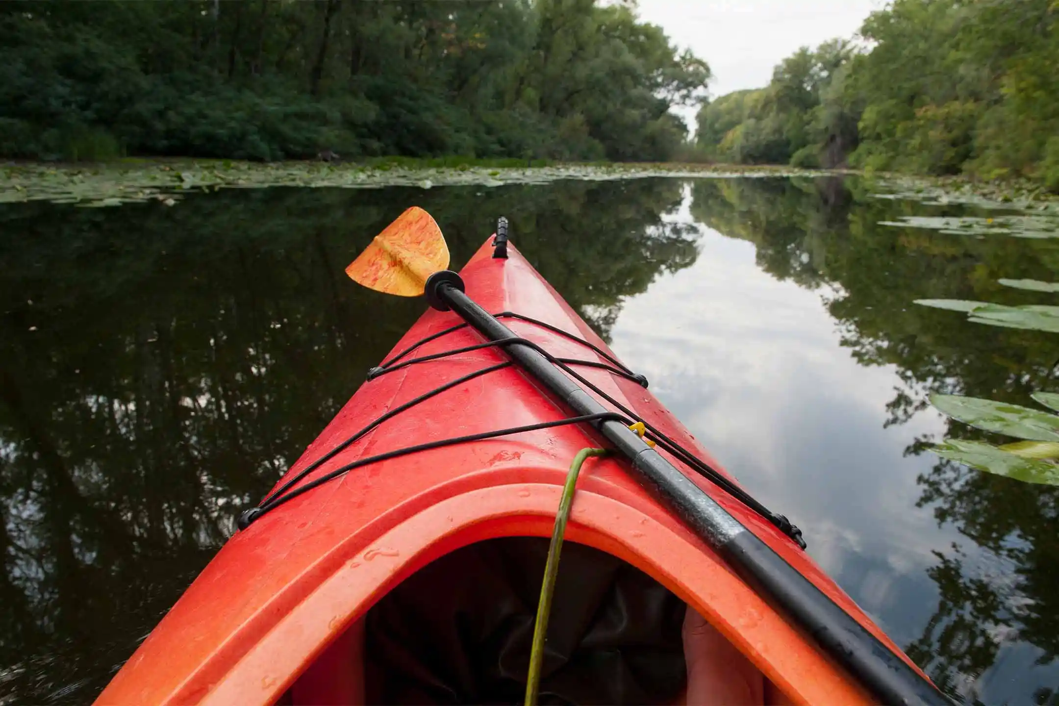 Hybryda Puszczy Zielonki: MTB + Kajak